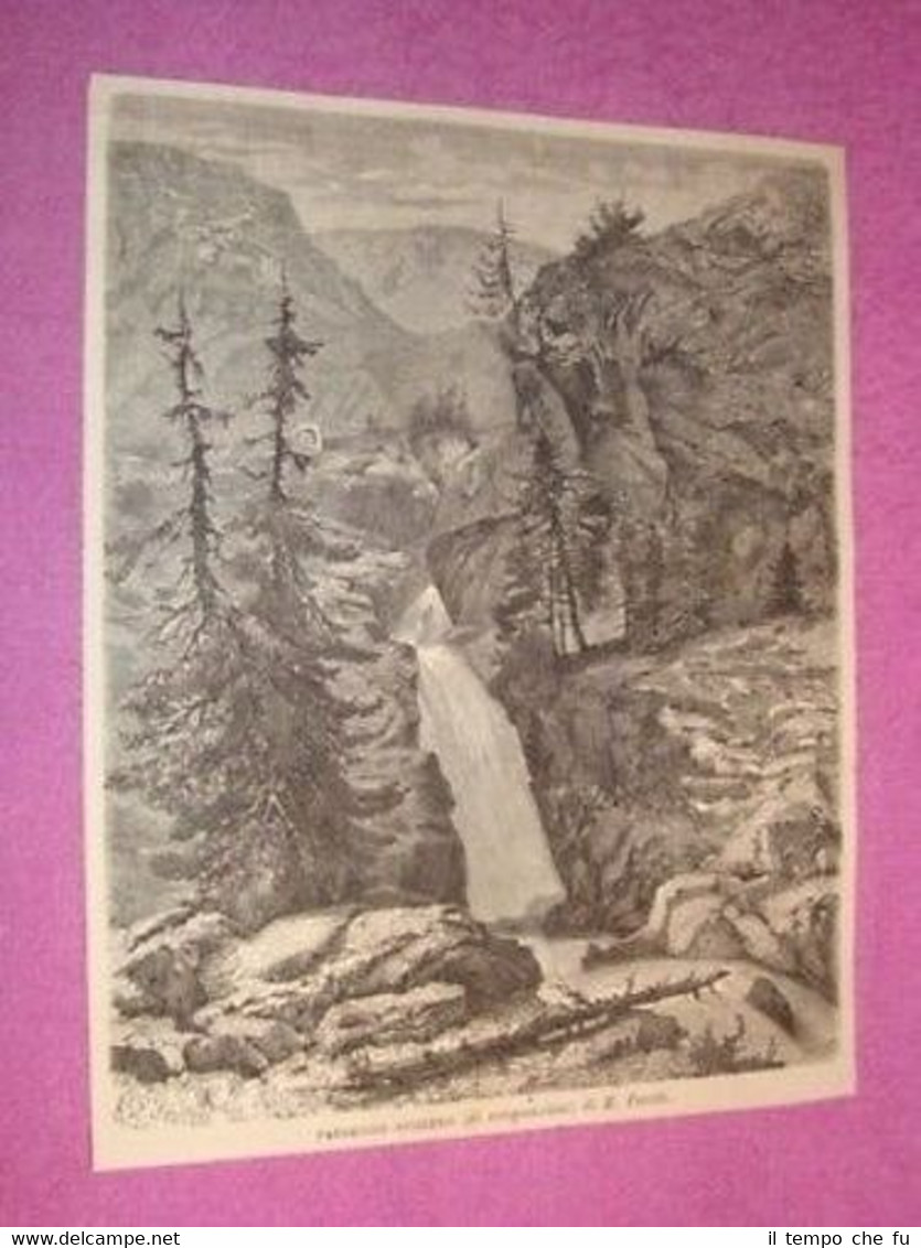 Paesaggio di Montagna con bosco e cascata in Svizzera