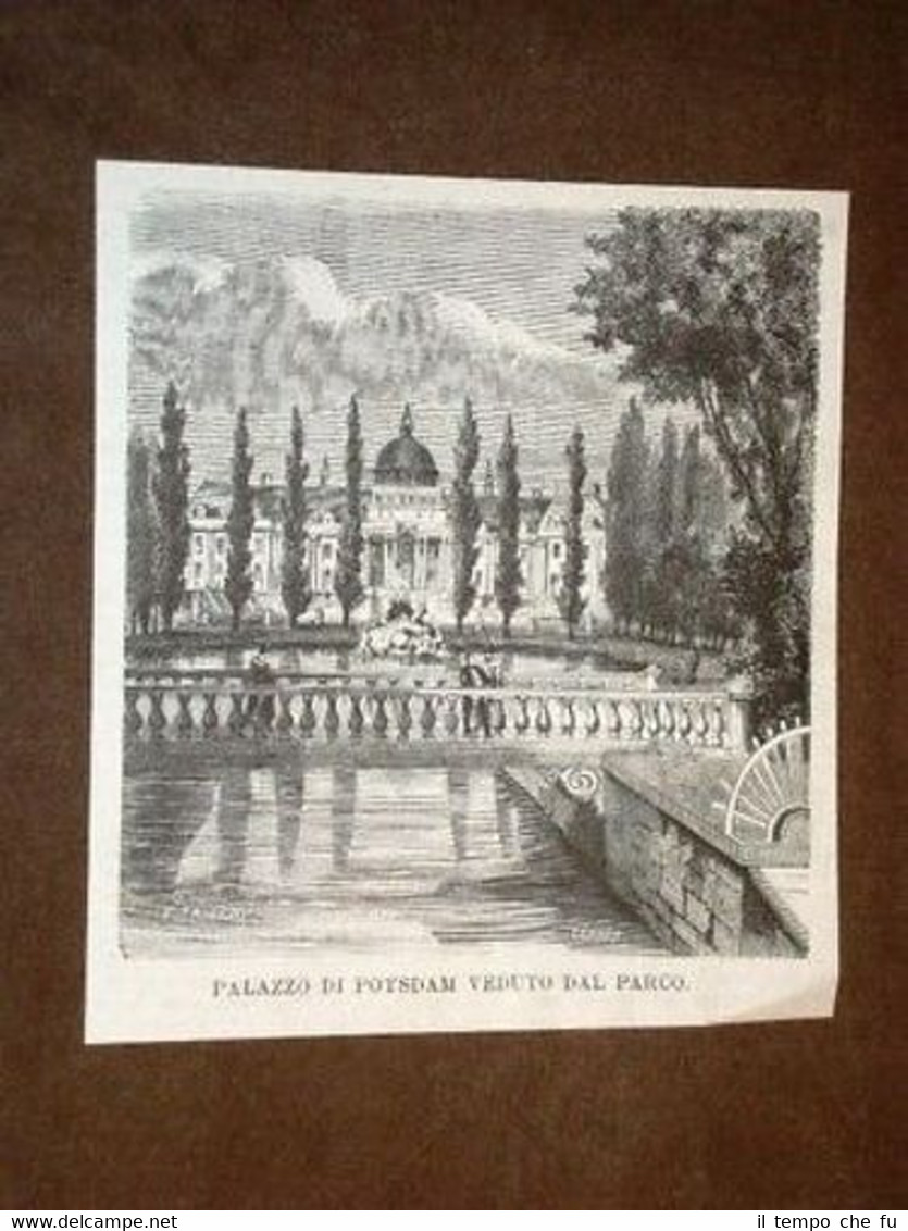 Palazzo di Potsdam Brandeburgo Germania