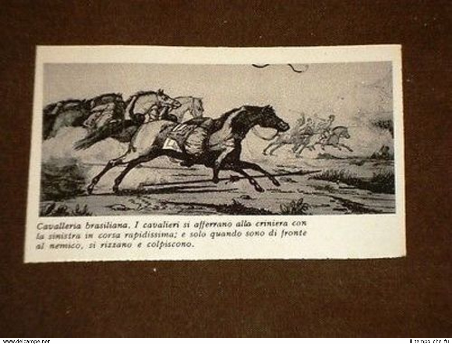 Paraná Cavalleria o Cavalieri del Brasile