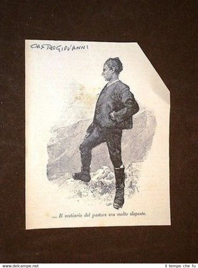 Pastore di Castrogiovanni o Henna o Enna Sicilia