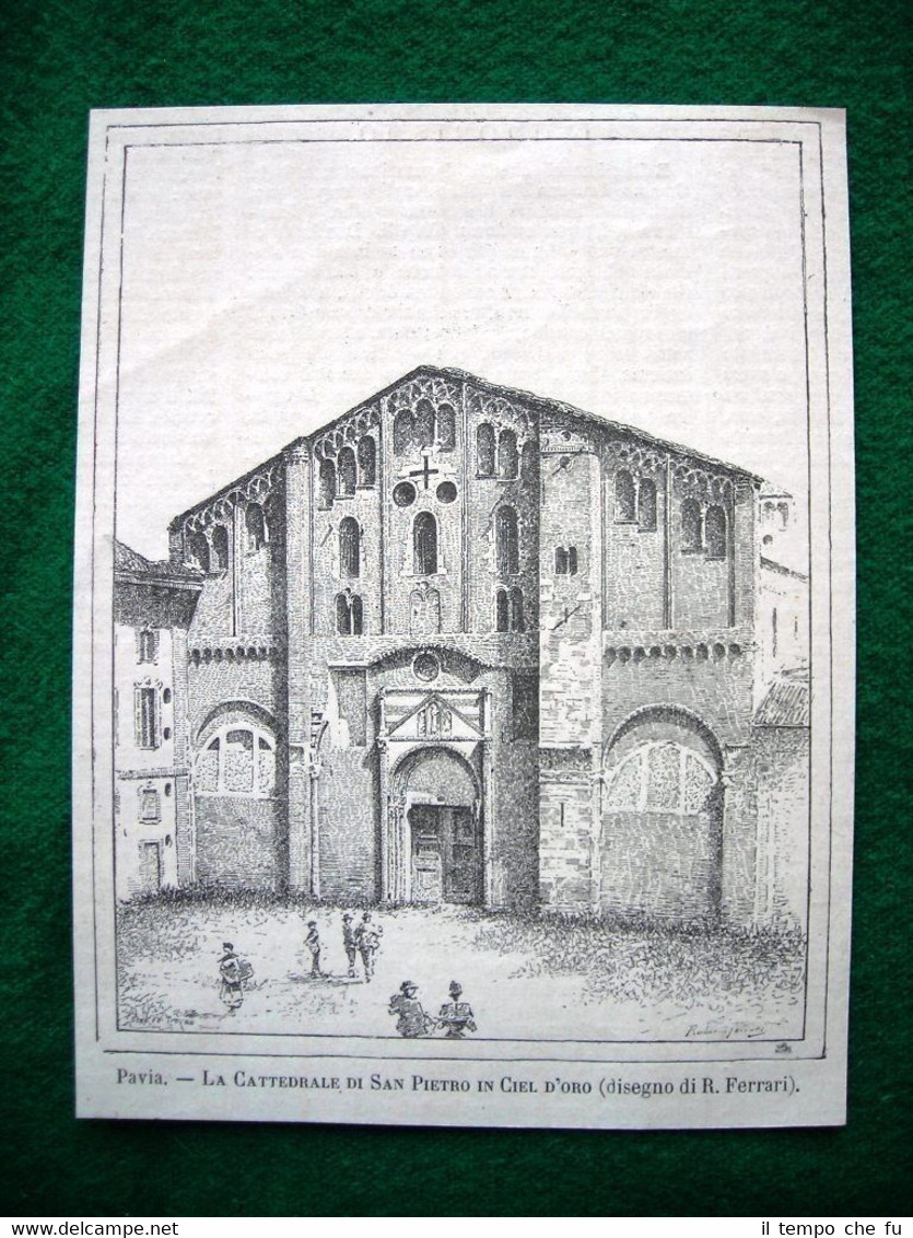 Pavia nel 1886, La Cattedrale di San Pietro in Ciel …