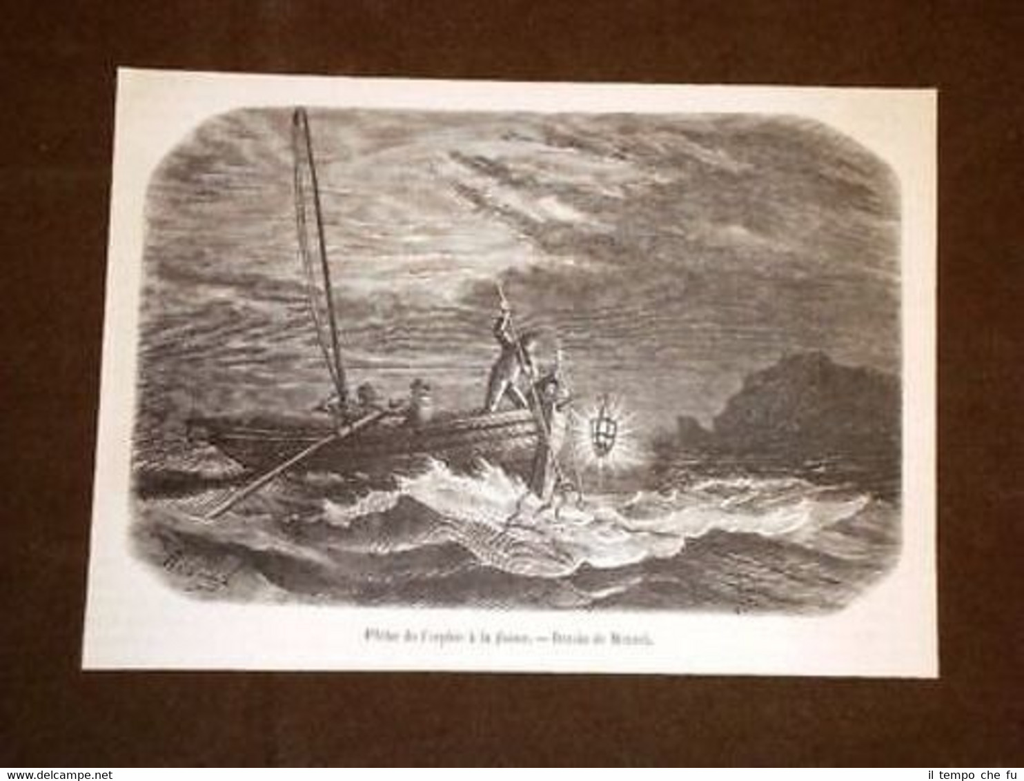 Peche de l'orphie à la foène La pesca del luccio …