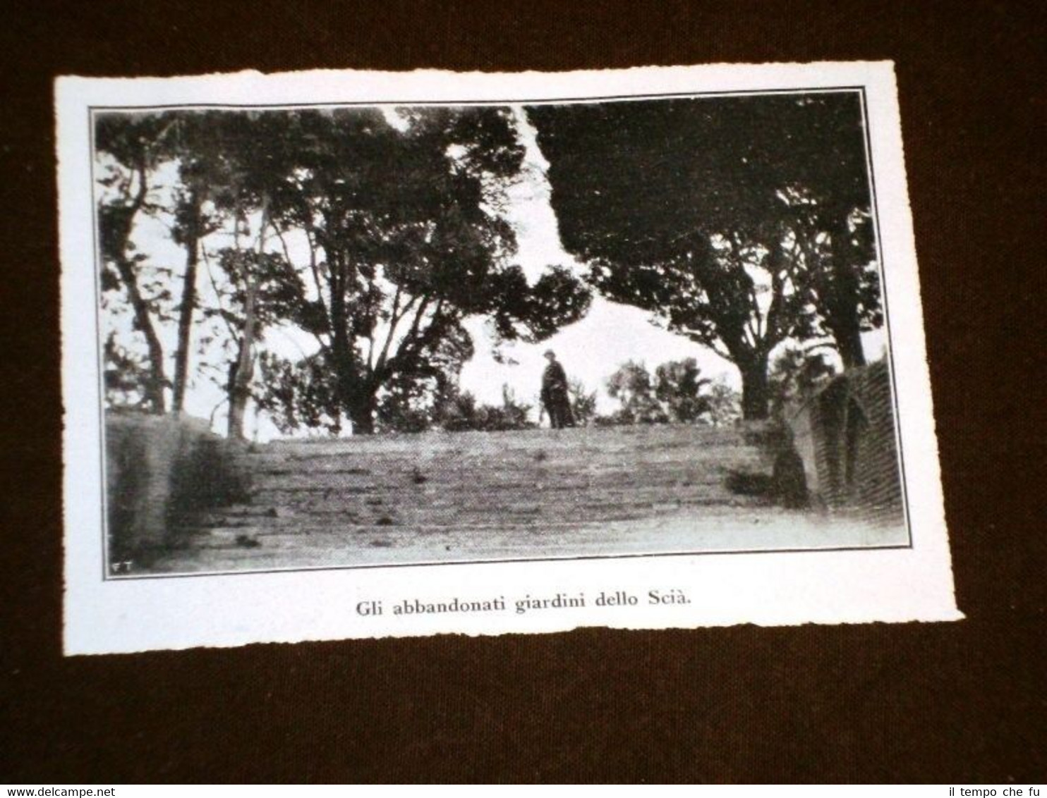 Persia nel 1926 Gli abbandonati giardini dello Scià