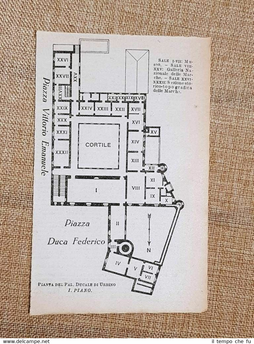 Pianta o piantina del 1924 Palazzo Ducale di Urbino Marche …