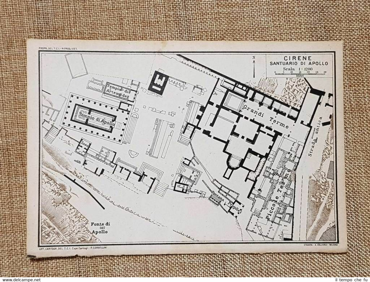 Pianta o piantina del 1929 Cirene Santuario d'Apollo Libia Touring …