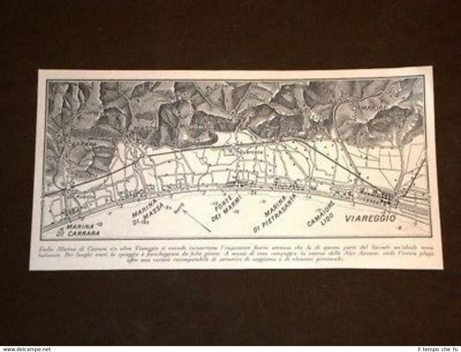 Piantina di Marina di Carrara di Massa di Pietrasanta