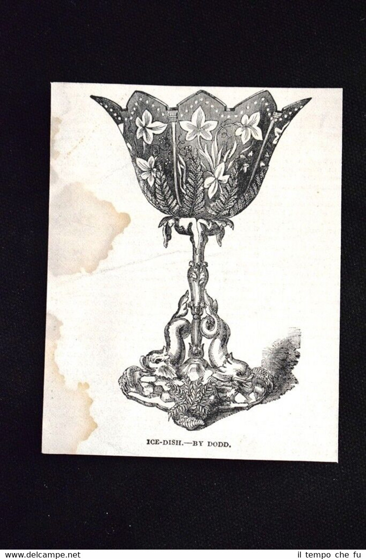 Piatto di ghiaccio, di Dodd Incisione del 1851