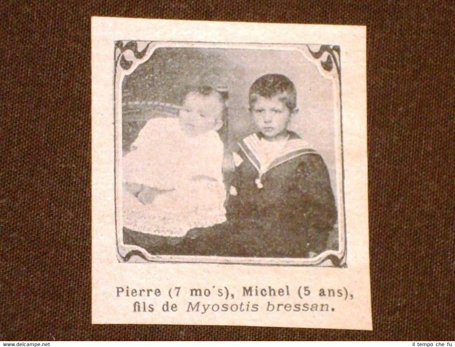 Pierre et Michel Fils de Myosotis Bressan
