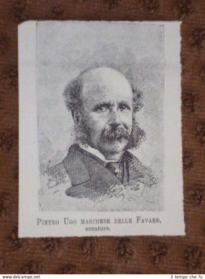 Pietro Ugo Marchese delle Favare Senatore