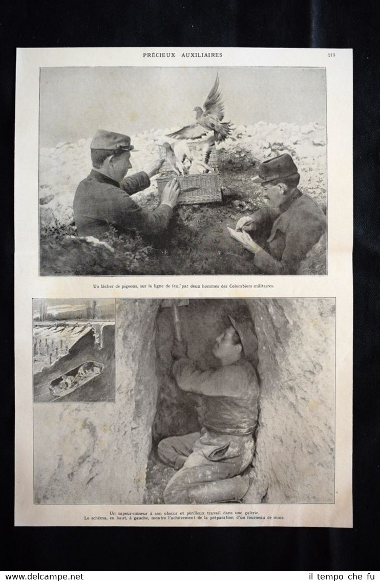 Précieux auxiliaires, Colombiers, Sapeur-mineur WW1 Guerra 1914 - 1918