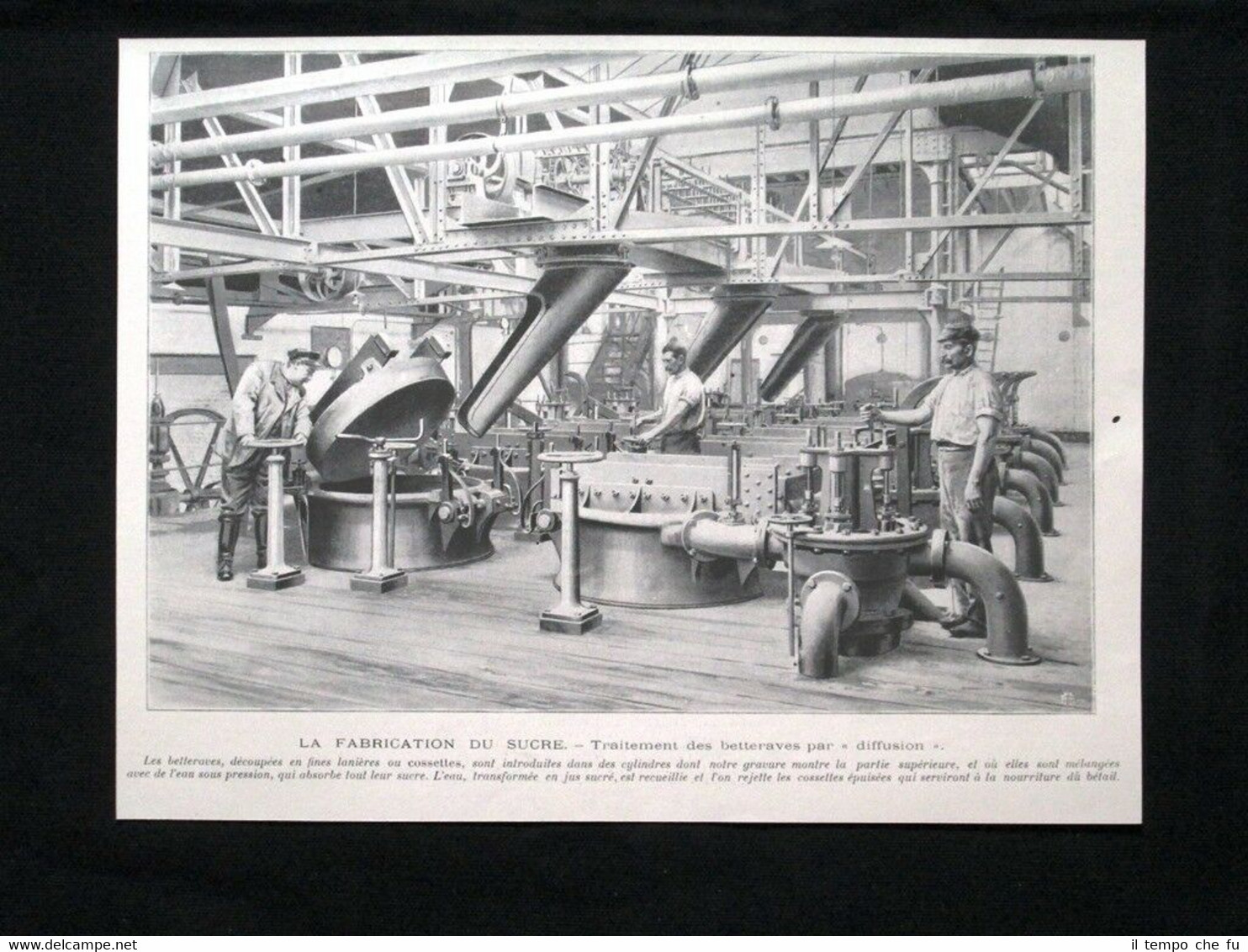 Produzione zucchero: Trattamento barbabietole per "diffusione" Stampa del 1902