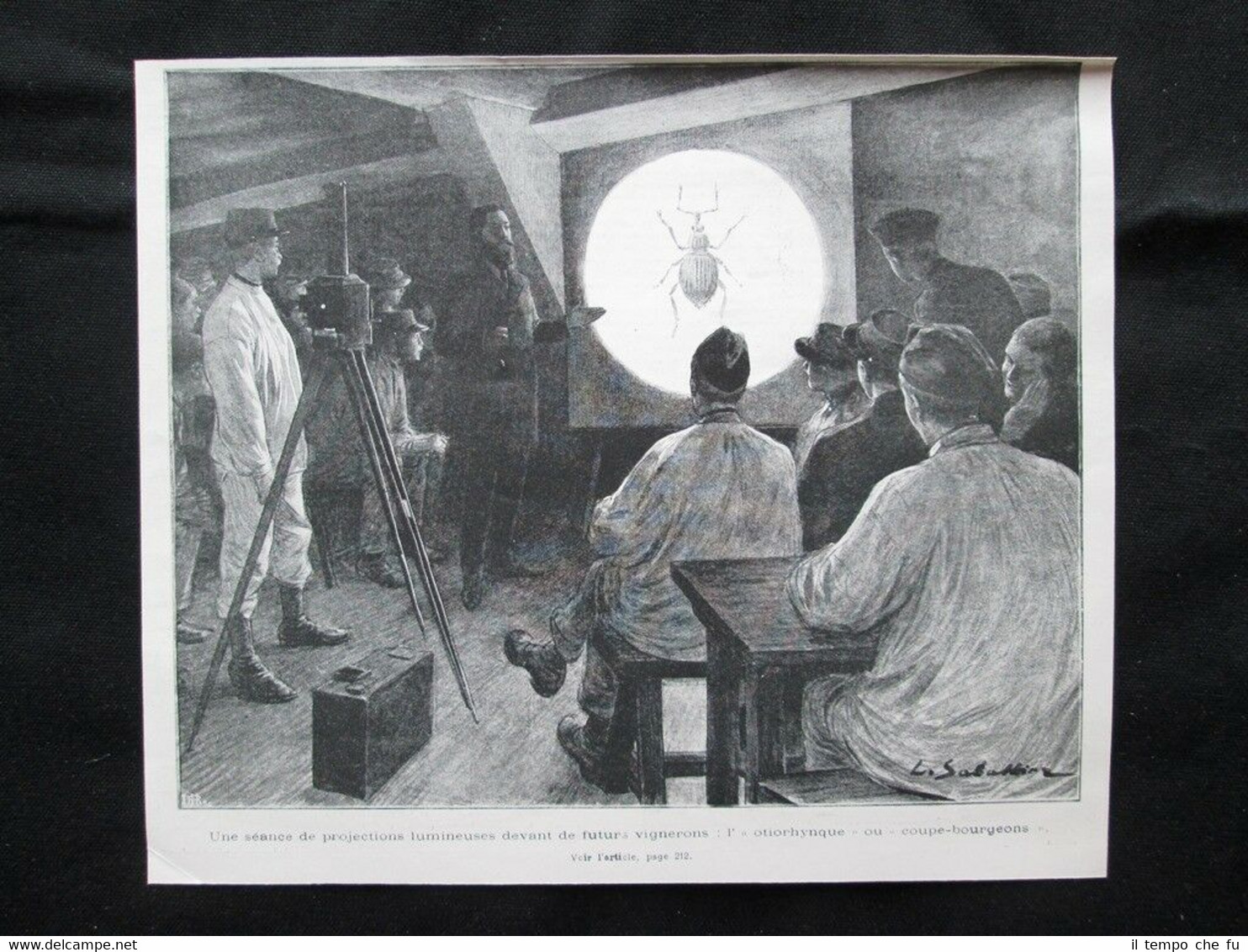 Proiezioni luminose di fronte ai futuri vignaioli: l'Oziorinco Stampa del …