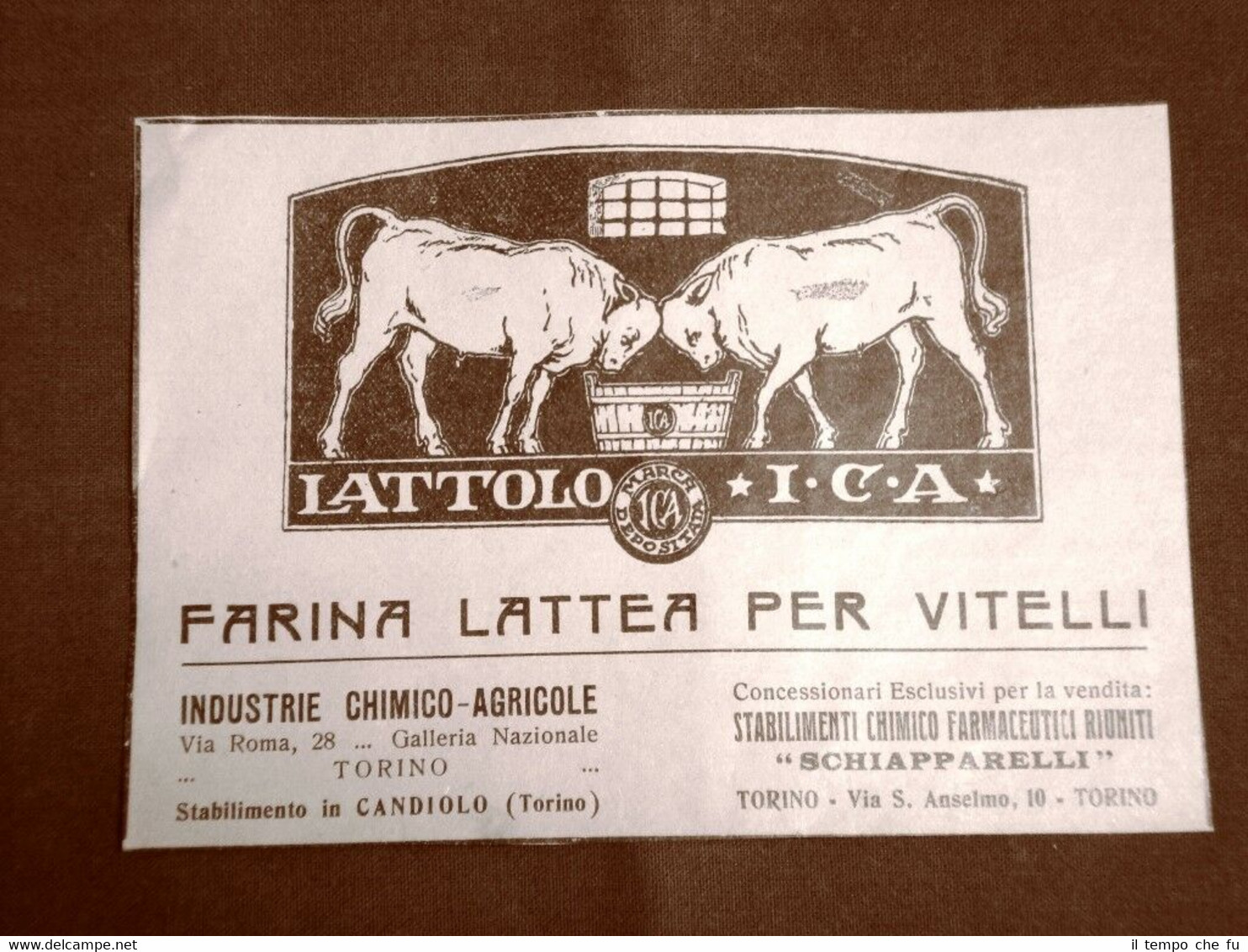 Pubblicità dei primi del 900 Farina per vitelli Lattolo ICA …