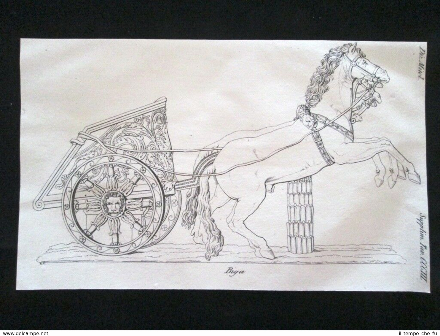 Raffigurazione di una biga Incisione all'acquaforte del 1820 Mitologia Pozzoli
