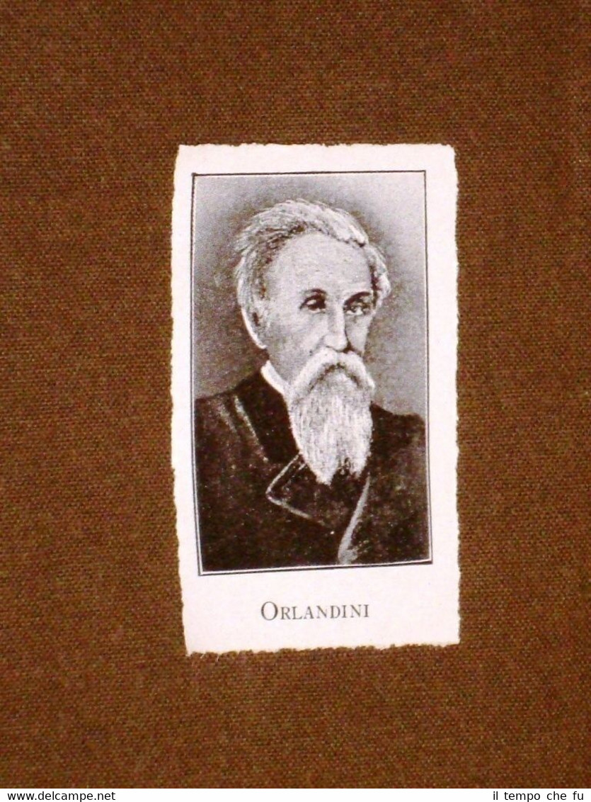 Rara stampa dei primi del 1900 Patriota Orlandini