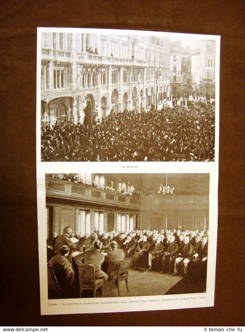 Rara Trieste nel 1899 Protesta della Regione Giulia contro il …
