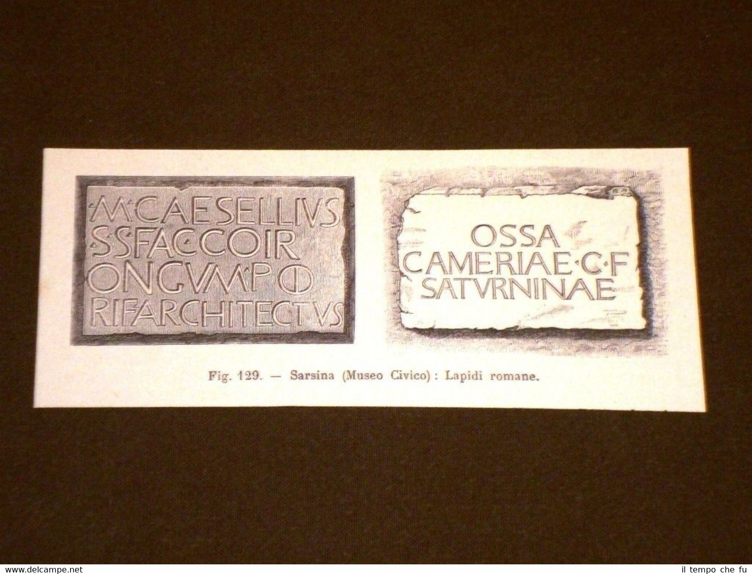 Rara veduta di fine '800 Sarsina, Museo civico - Lapidi …