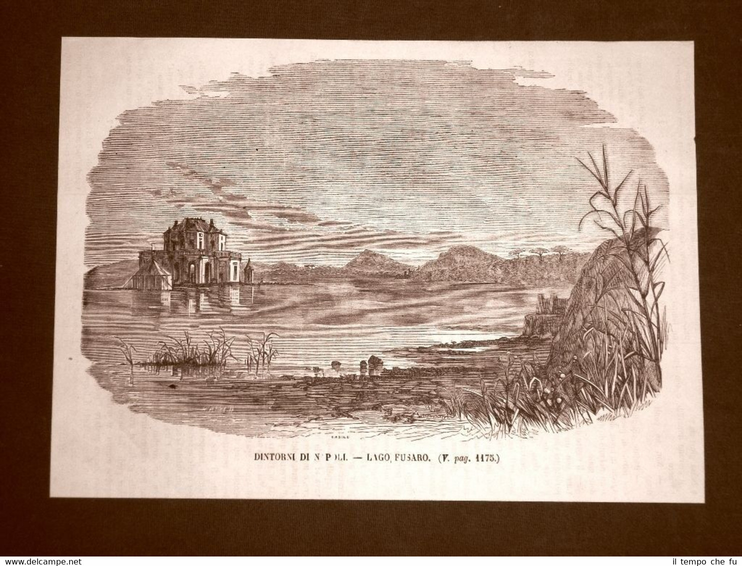 Rara veduta di Napoli del 1866 Il Lago Fusaro Campania