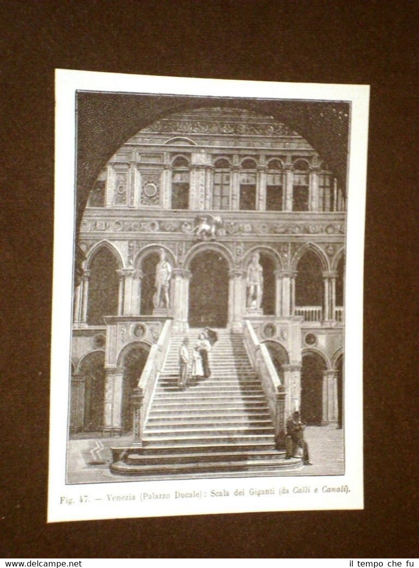 Rara veduta di Venezia di fine '800 Palazzo Ducale Scala …