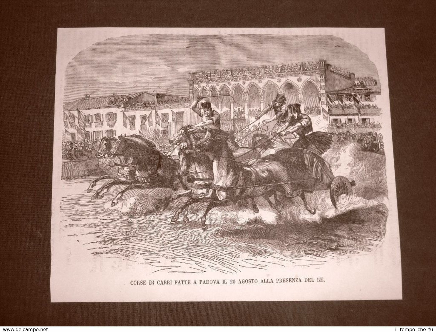 Rara veduta Padova nel 1866 Corse di carri presente Vittorio …