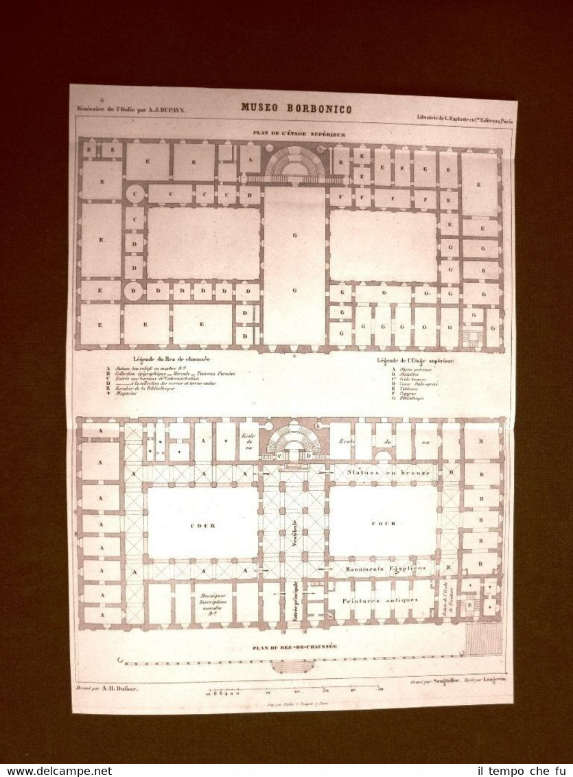 Rarissima e dettagliata pianta o piantina del 1863 Il Museo …