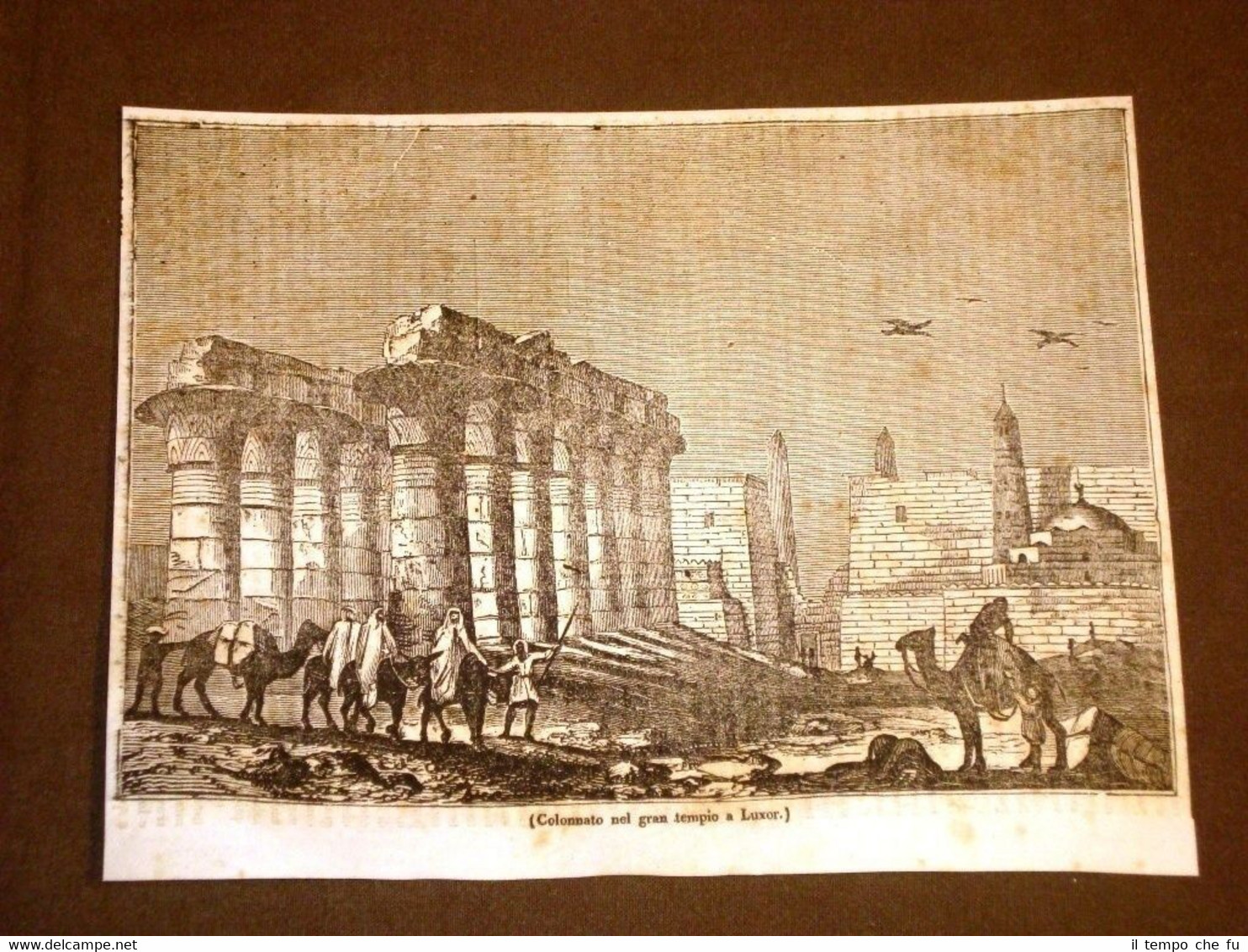 Rarissima incisione del 1836 Colonnato nel Gran Tempio a Luxor …