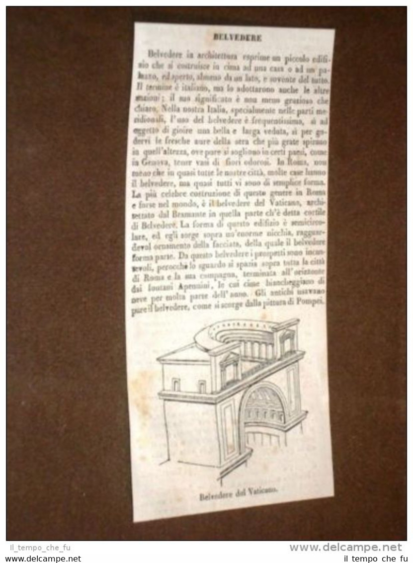 Rarissima incisione del 1836 Il belvedere del Vaticano