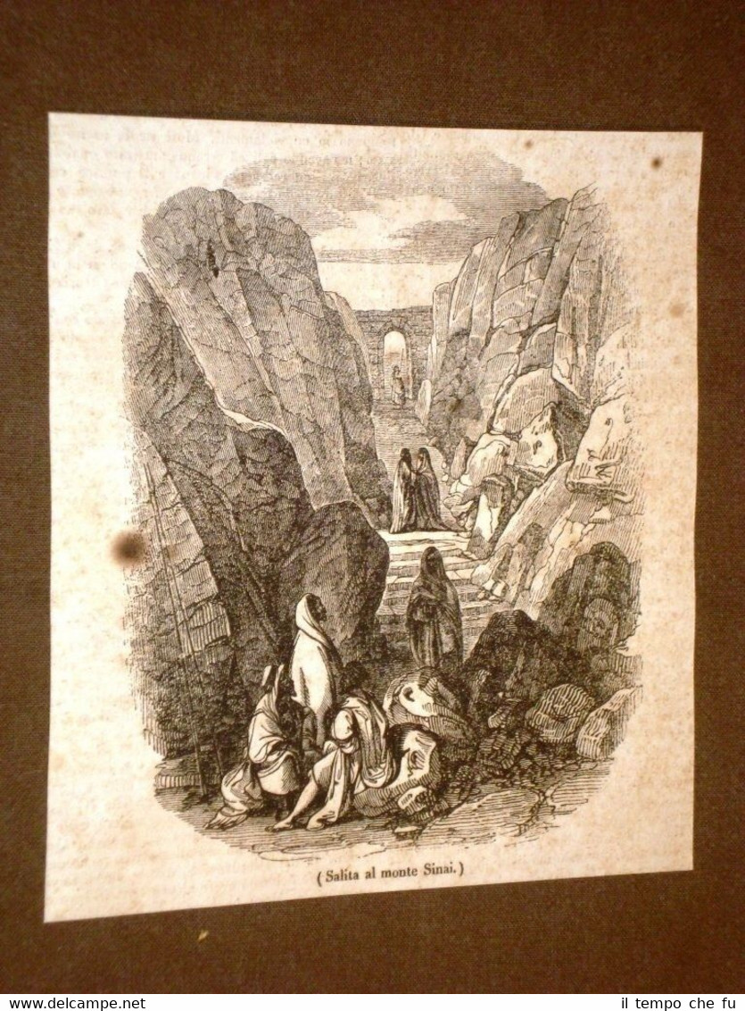 Rarissima incisione del 1836 La salita al Monte Sinai in …