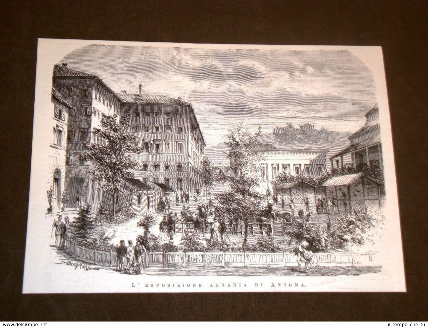 Rarissima veduta del 1877 L'esposizione agraria di Ancona