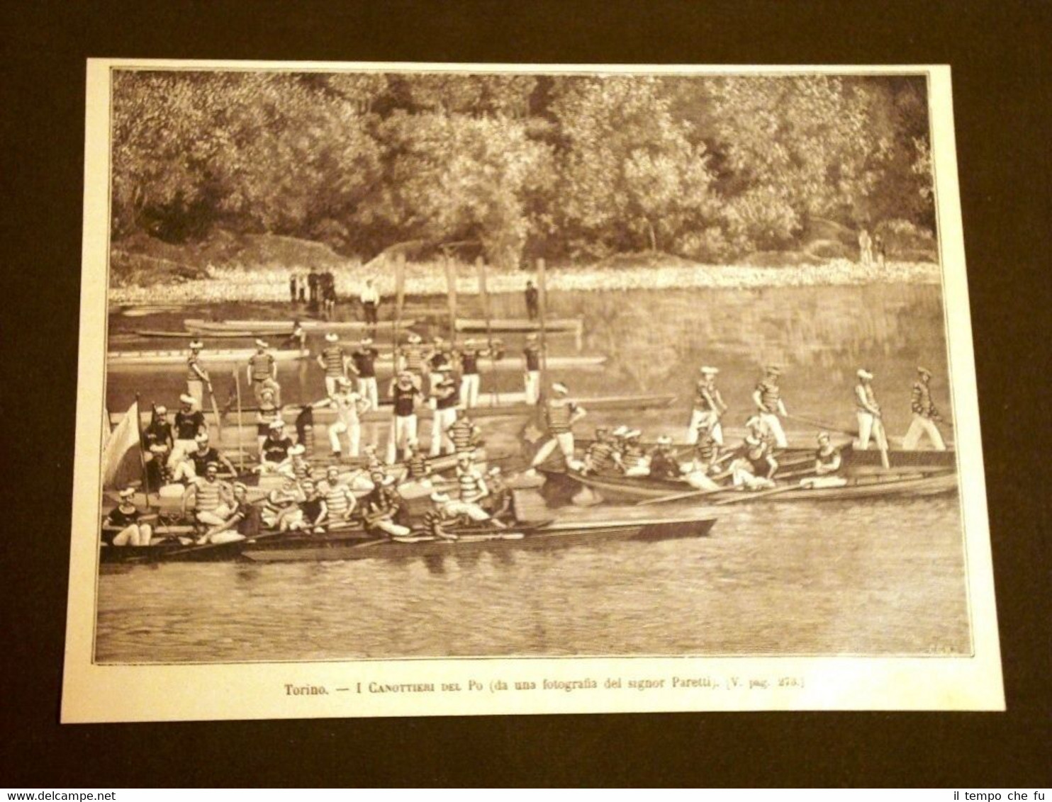 Regate di Torino nel 1886 I canottieri del Po