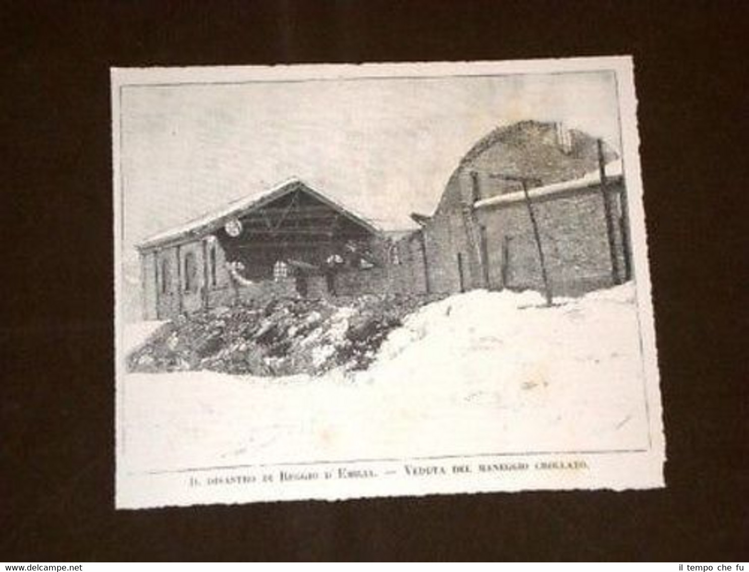 Reggio Emilia Il disastro del maneggio crollato