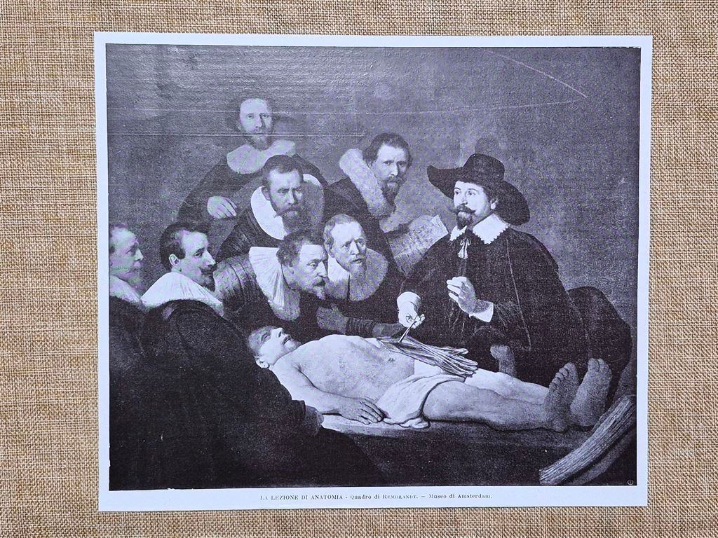 Rembrandt Lezione di anatomia barocco Museo di Amsterdam Stampa del …