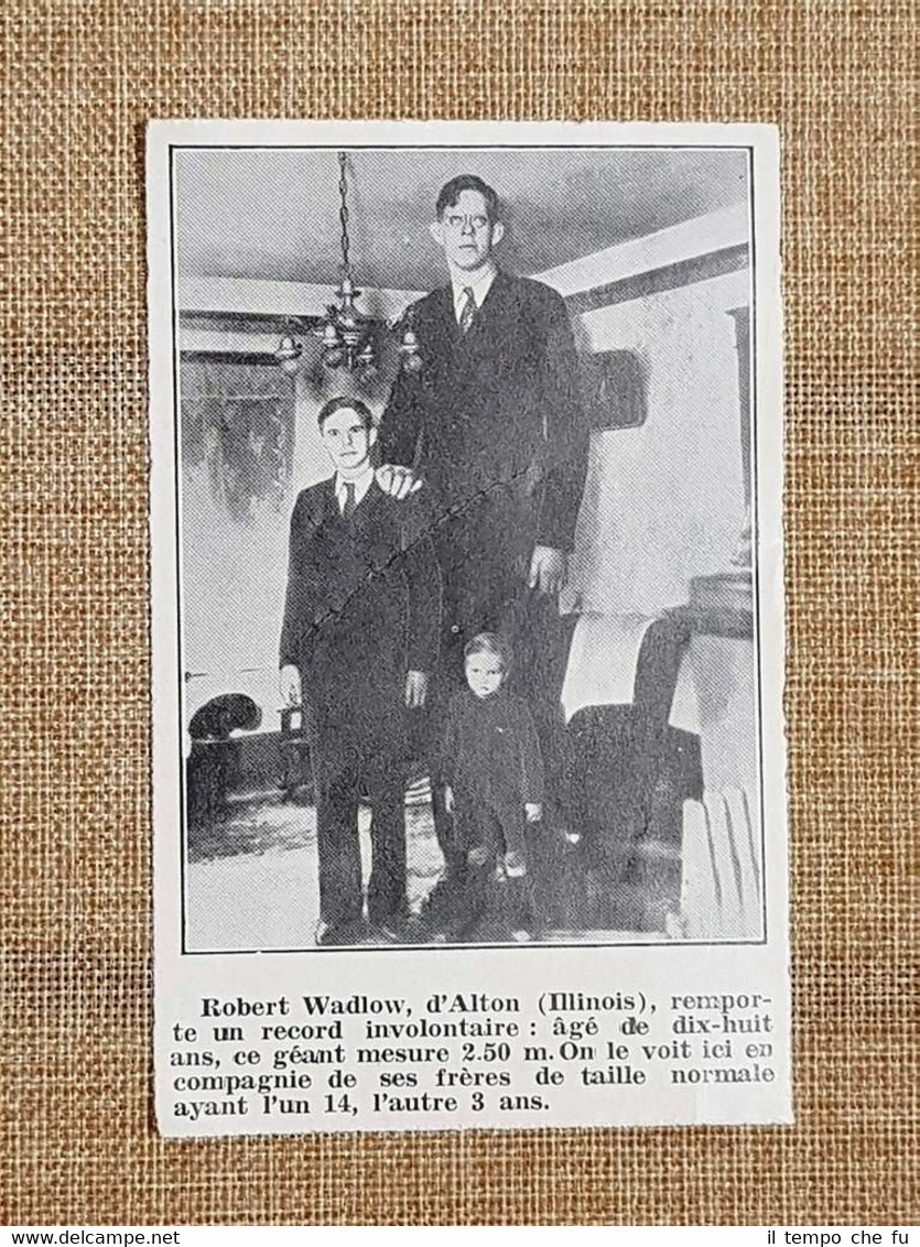 Robert Pershing Wadlow nel 1936 Alton 22 febbraio 1918 – …