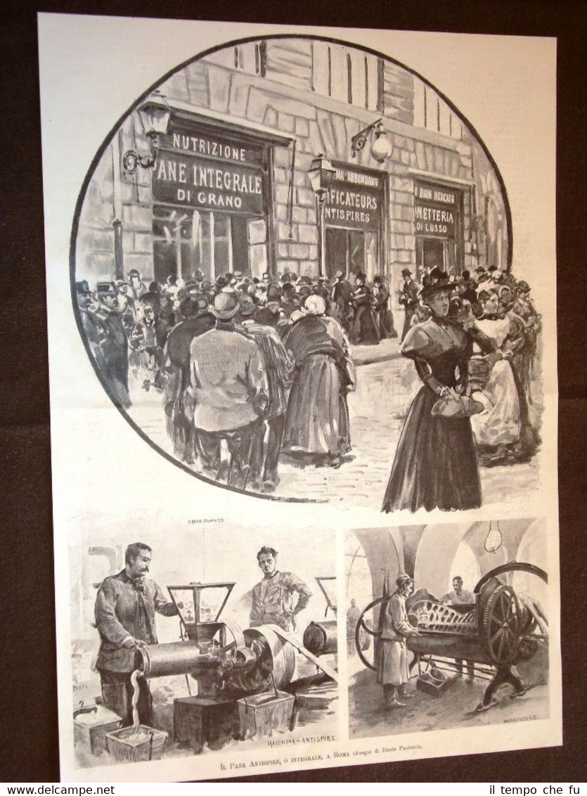 Roma nel 1898 L'invenzione del pane antispire o integrale