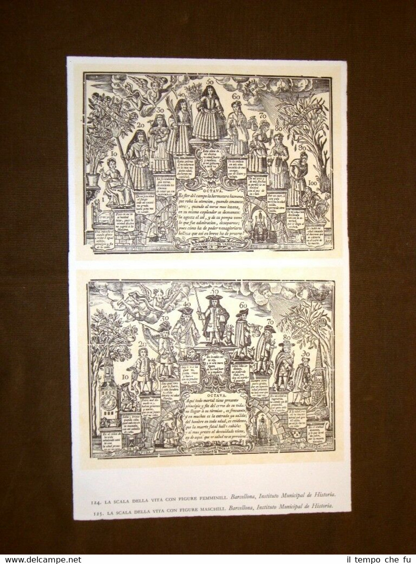Scala della vita femminile e maschile Barcellona Stampa popolare spagnola …