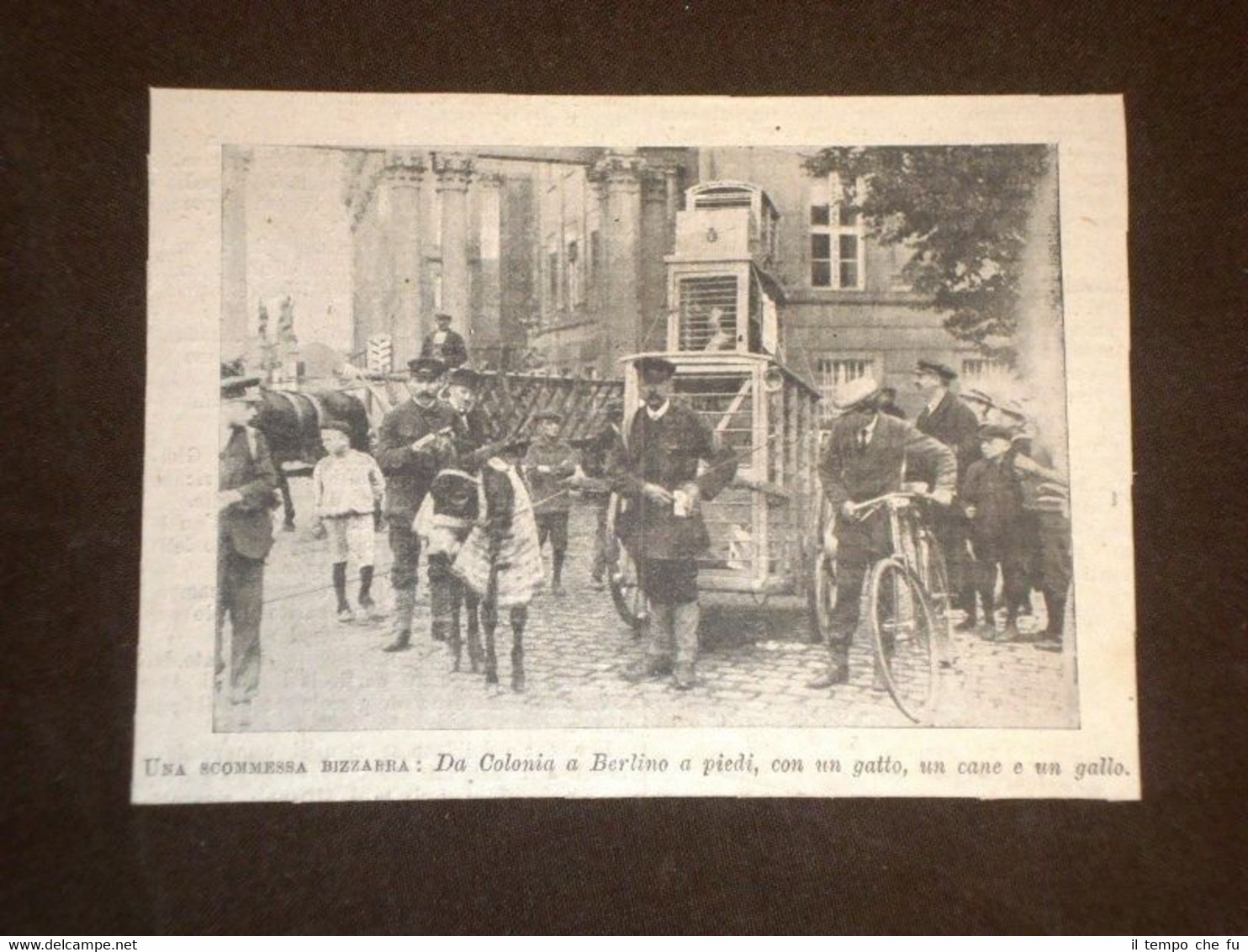 Scommesse bizzarre Da Colonia a Berlino a piedi, con un …