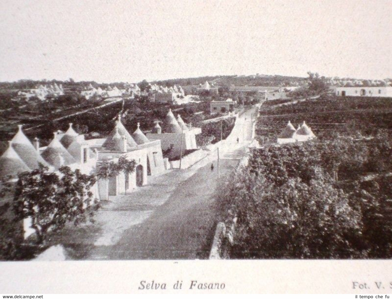 Selva di Fasano + Cava dei Tirreni