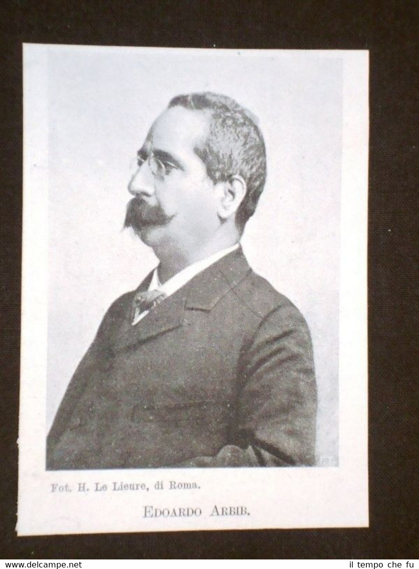 Senatore Edoardo Arbib