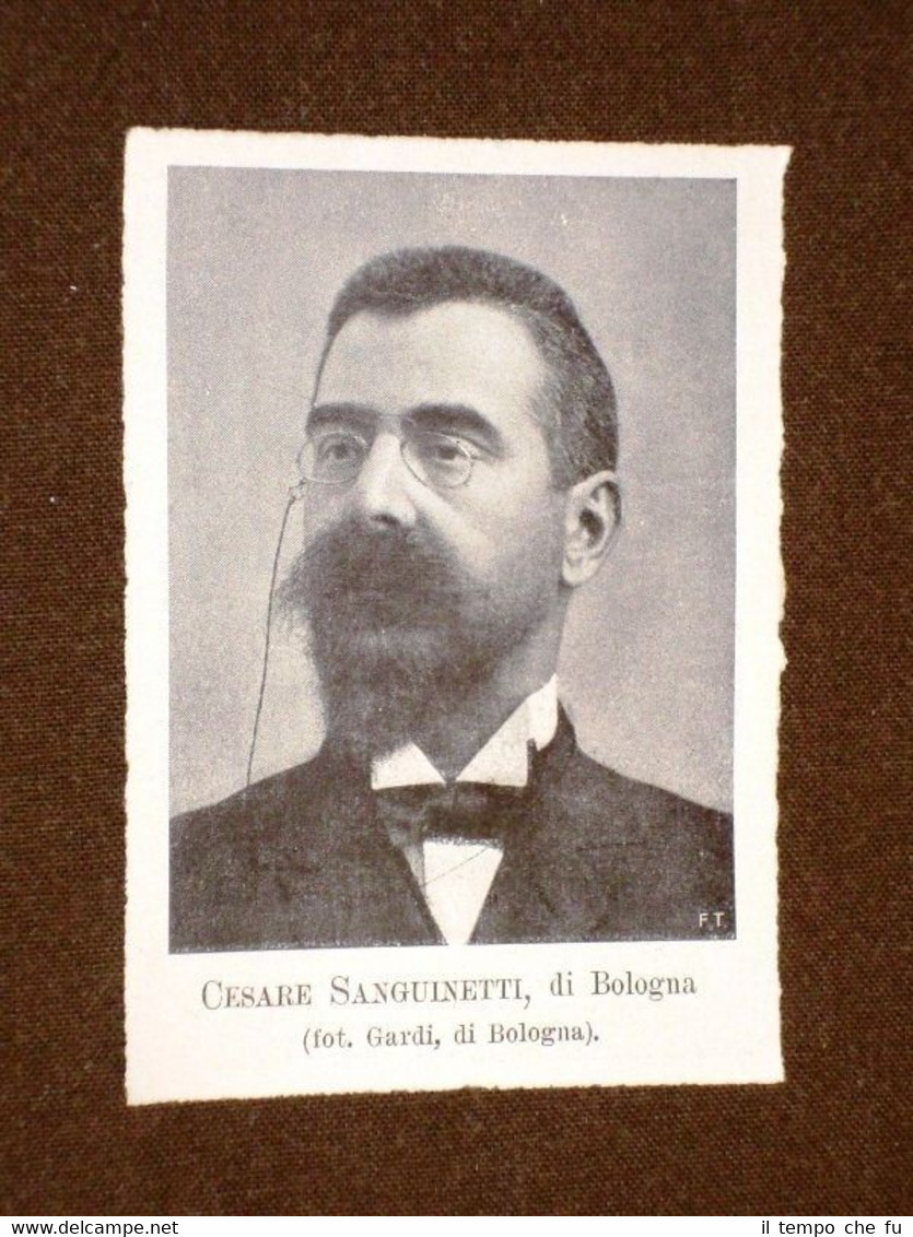 Senatore nel 1905 Cesare Sanguinetti di Bologna