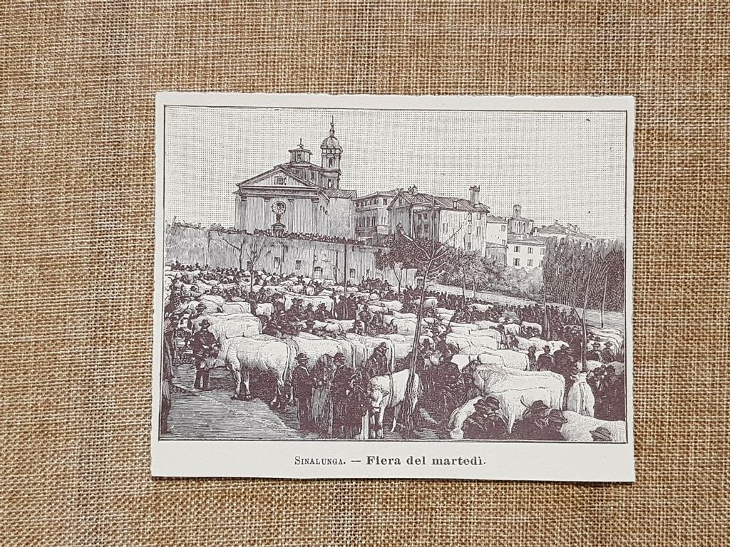 Sinalunga nell'800 La fiera del martedì Toscana