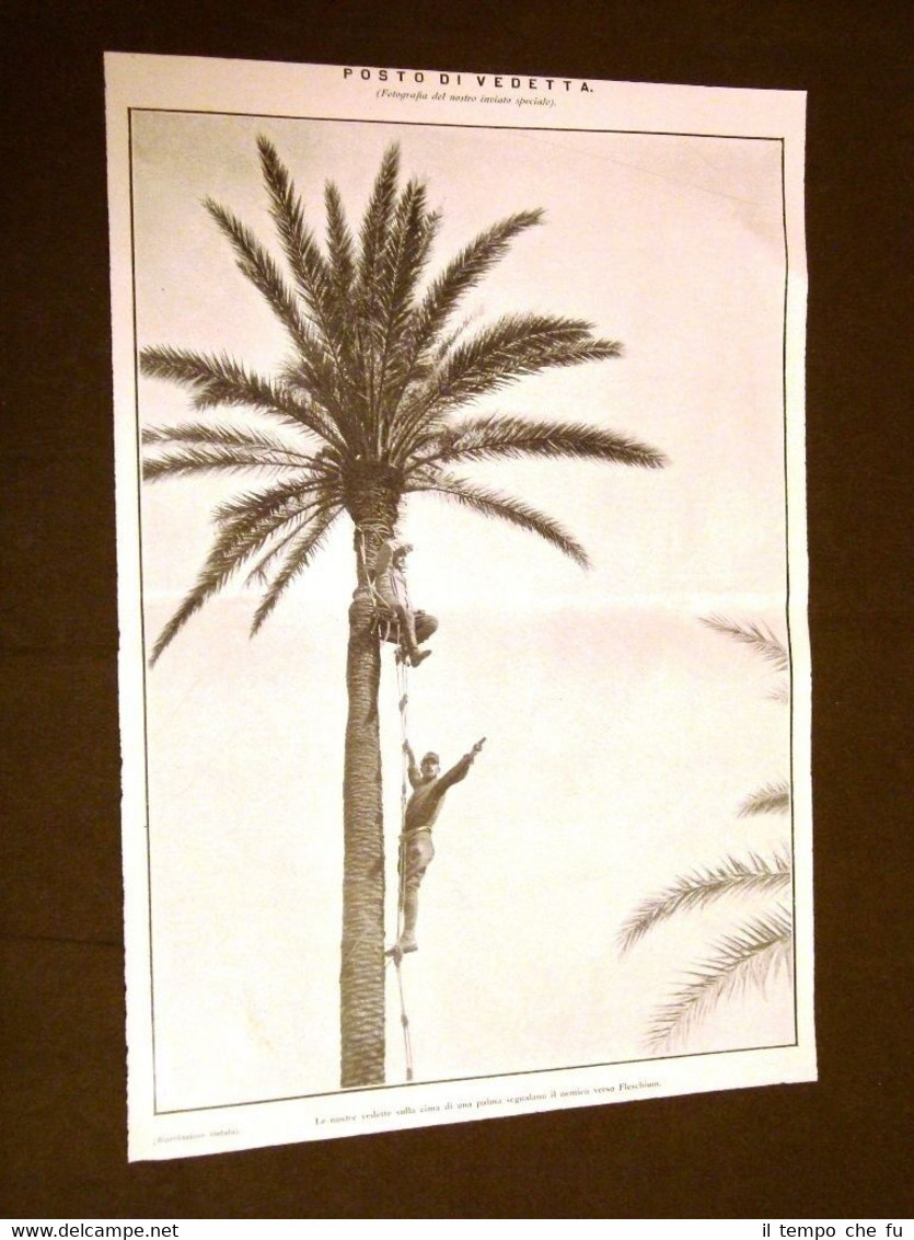 Spedizione d'Italia in Libia o Tripolitania nel 1911 Posto di …