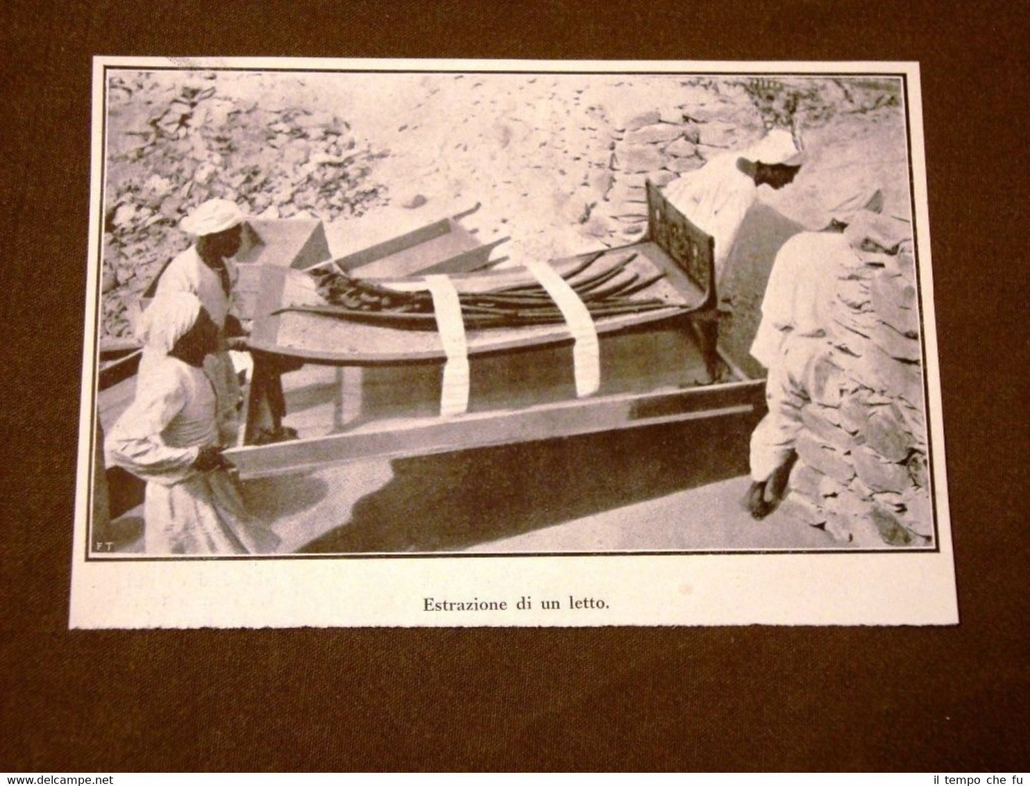Spedizione di George Herbert Carnarvon nel 1923 Tomba Tutankhamon Letto …