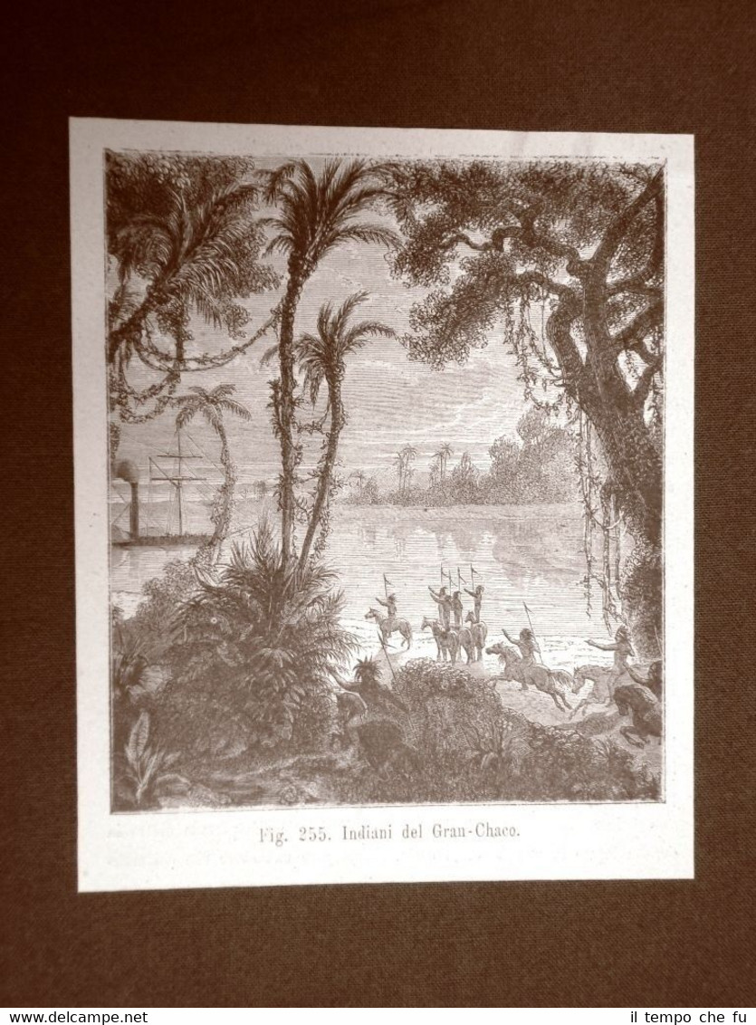 Stampa del 1883 Presso gli Indiani del Gran Chaco Moda …