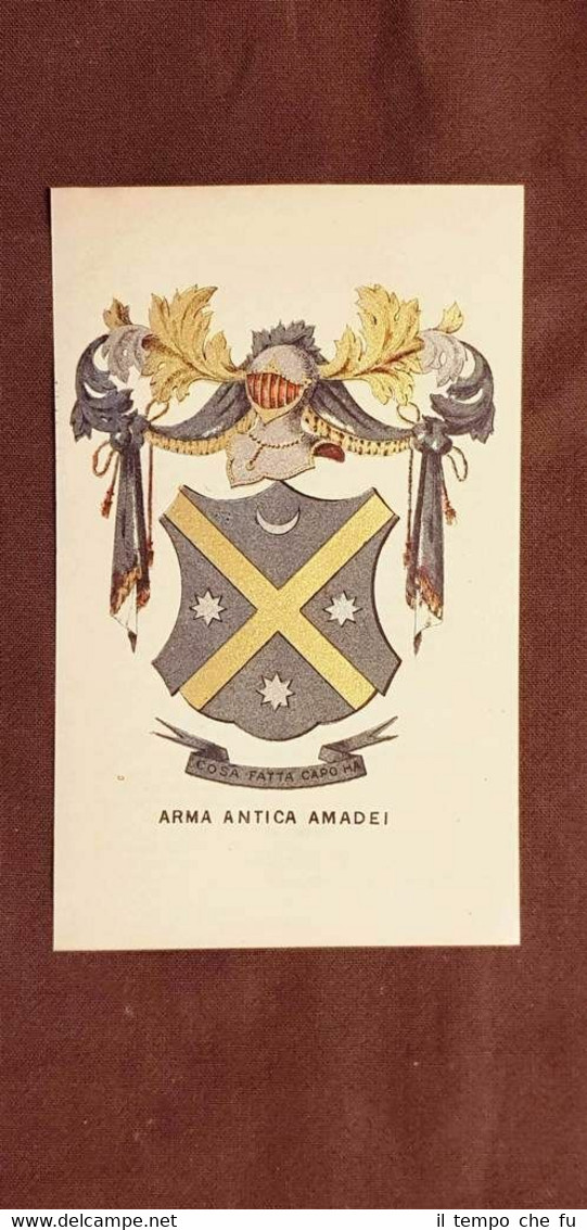 Stemma Amadei antica Cosa fatta capo ha Famiglia nobile Cromolitografia …