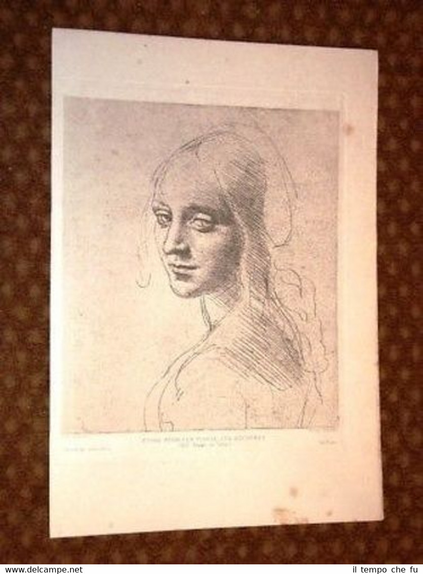 Studio per la Vergine delle Rocce - Leonardo Da Vinci