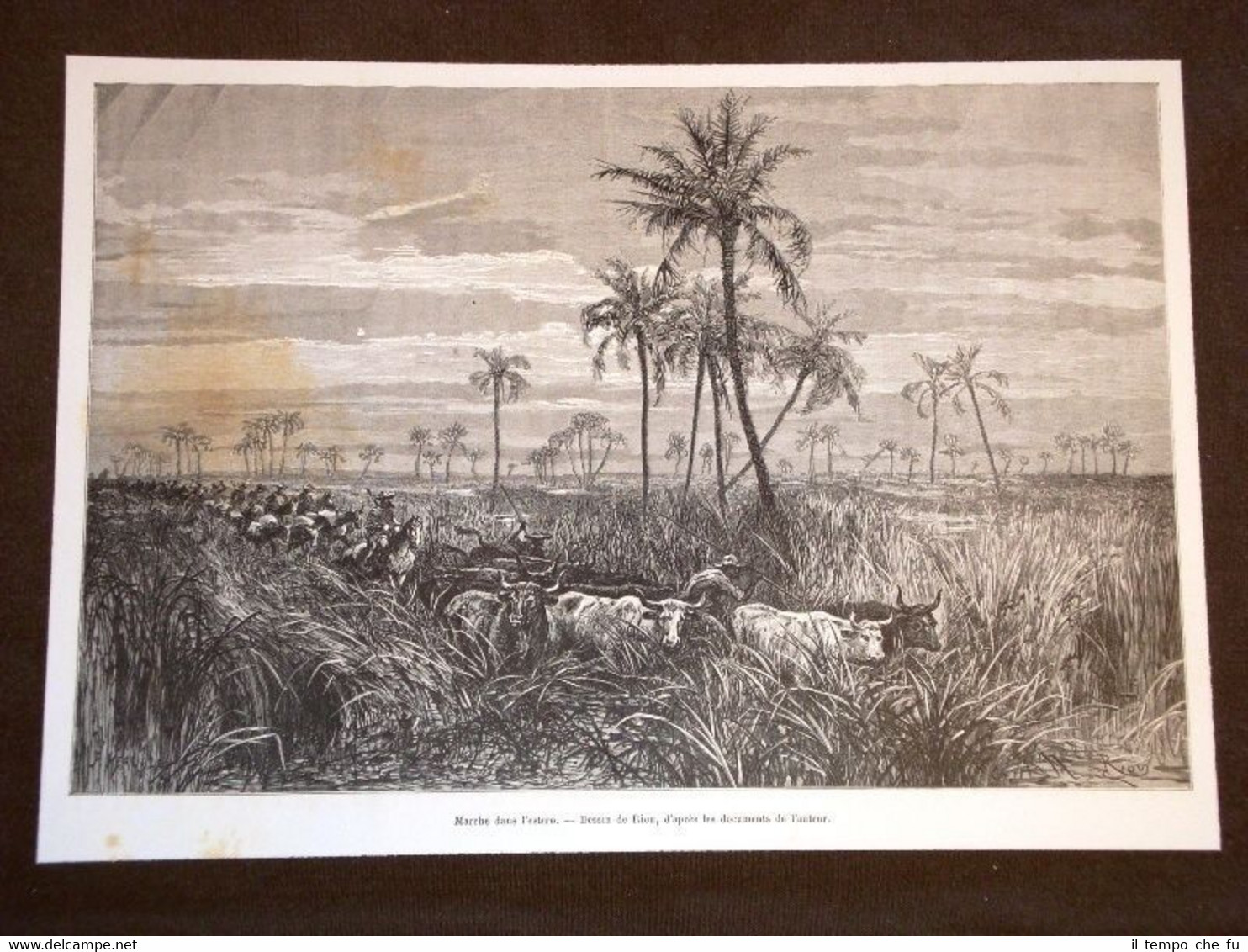 Sud America nel 1889 Marche dans Santiago del Estero Argentina