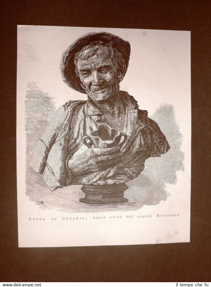 Testa di vecchio Terra cotta o terracotta si Belliazzi del …