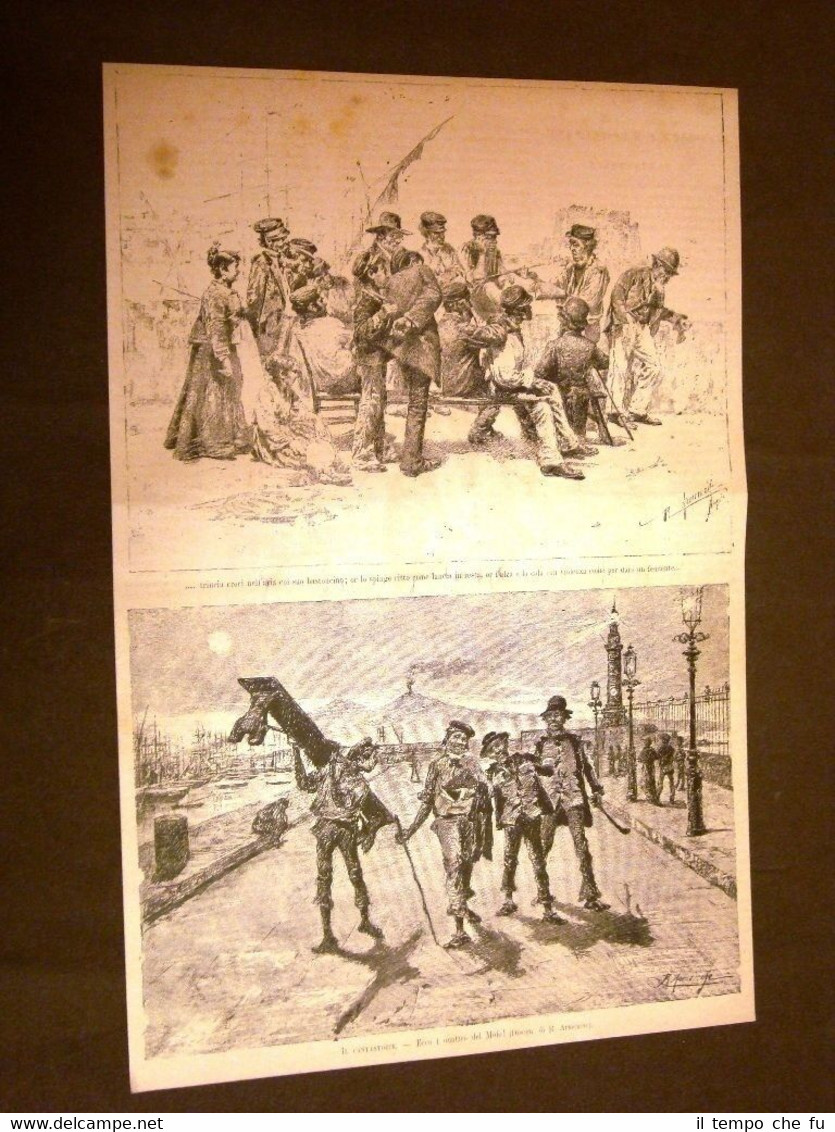 Tore il Cantastorie Racconto e Molo Disegno del Signor Armenise …