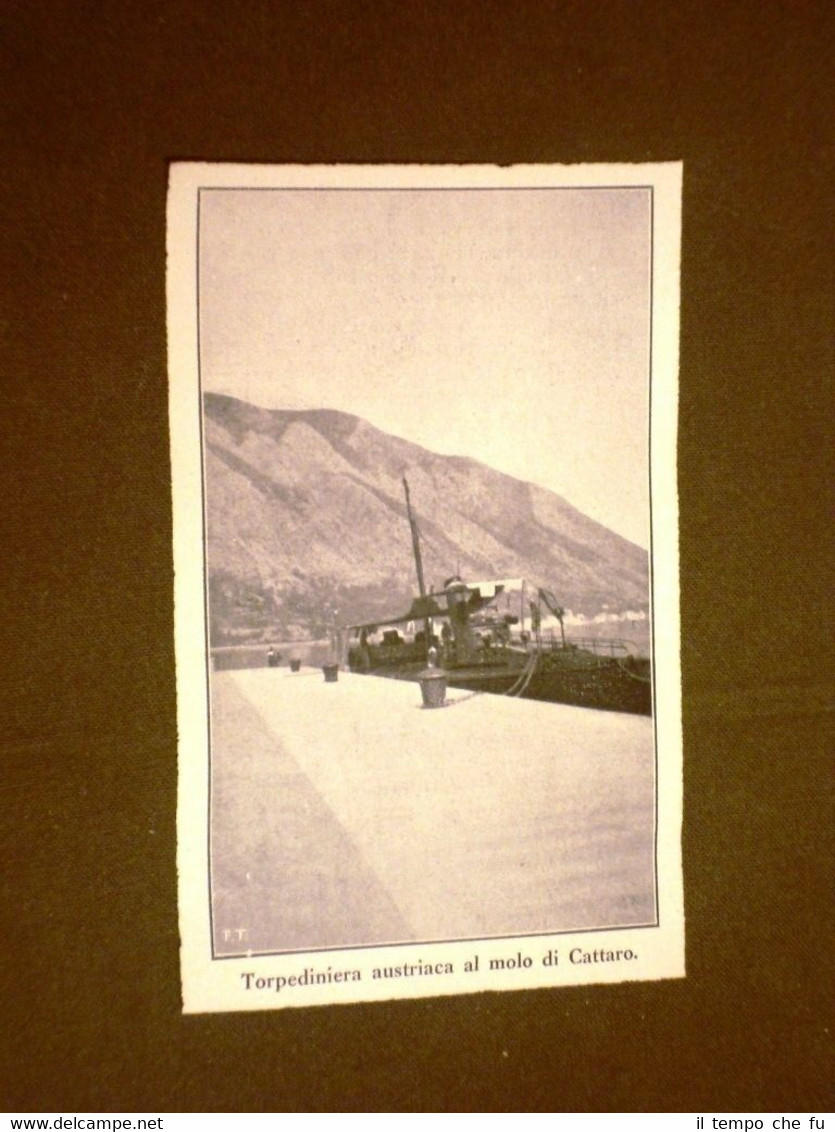 Torpediniera dell'Austria presso il molo di Cattaro o Kotor nel …