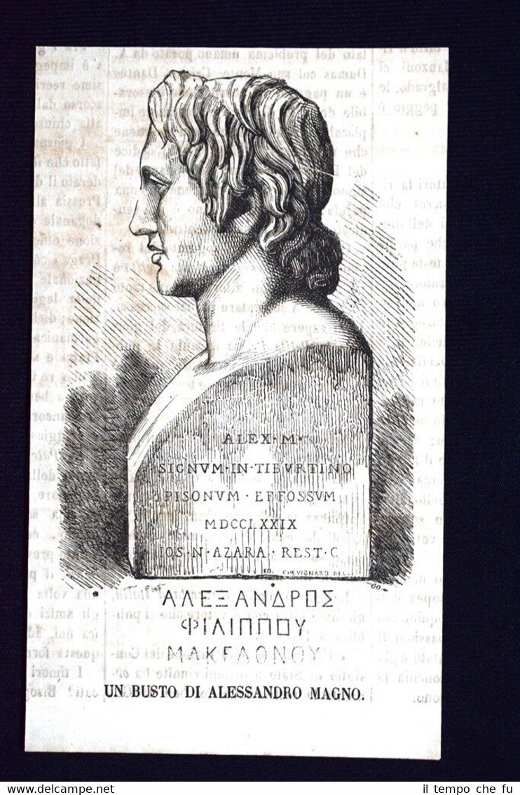 Un busto di Alessandro Magno Incisione del 1868